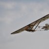 DSC_5967 (800x531)